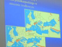 Dzień Paleontologa. Fot. Anna Żylińska i Daniel Tyborowski WG/UW