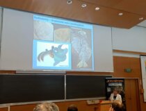 Dzień Paleontologa. Fot. Anna Żylińska i Daniel Tyborowski WG/UW